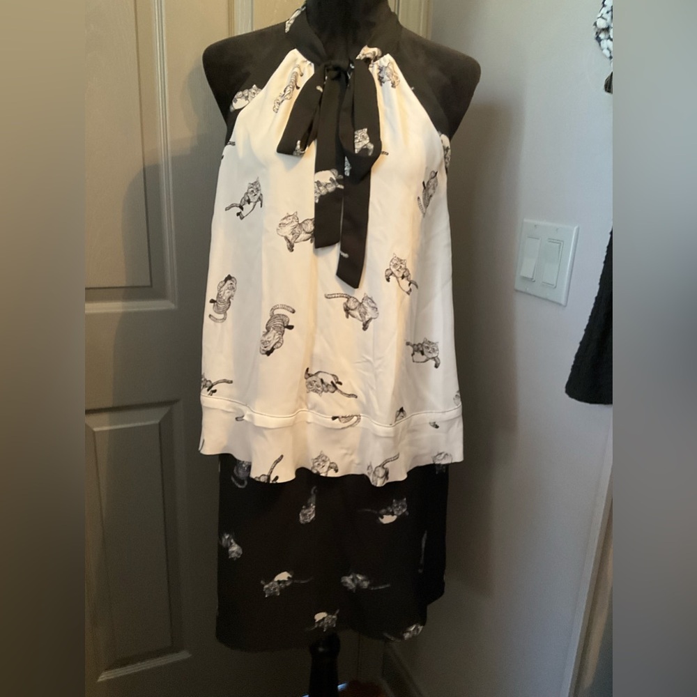 Disney Alice Through the Looking Glass Cheshire Cat S and size 6 mini skirt set